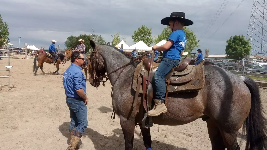 JV RANCH -  PENSIONE CAVALLI E CORSI DI EQUITAZIONE