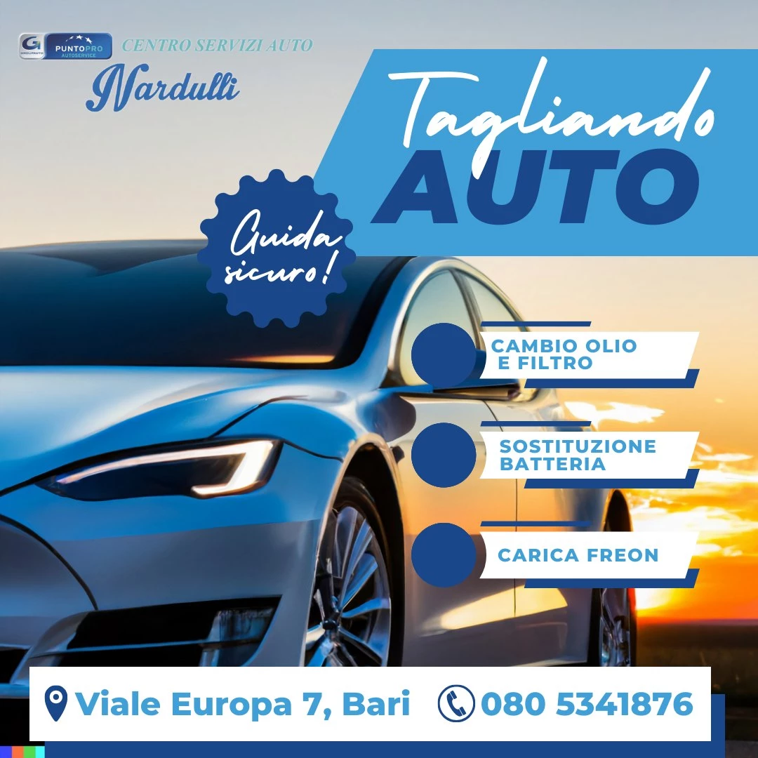 CENTRO REVISIONI AUTO E MOTO  - CENTRO SERVIZI AUTO NARDULLI