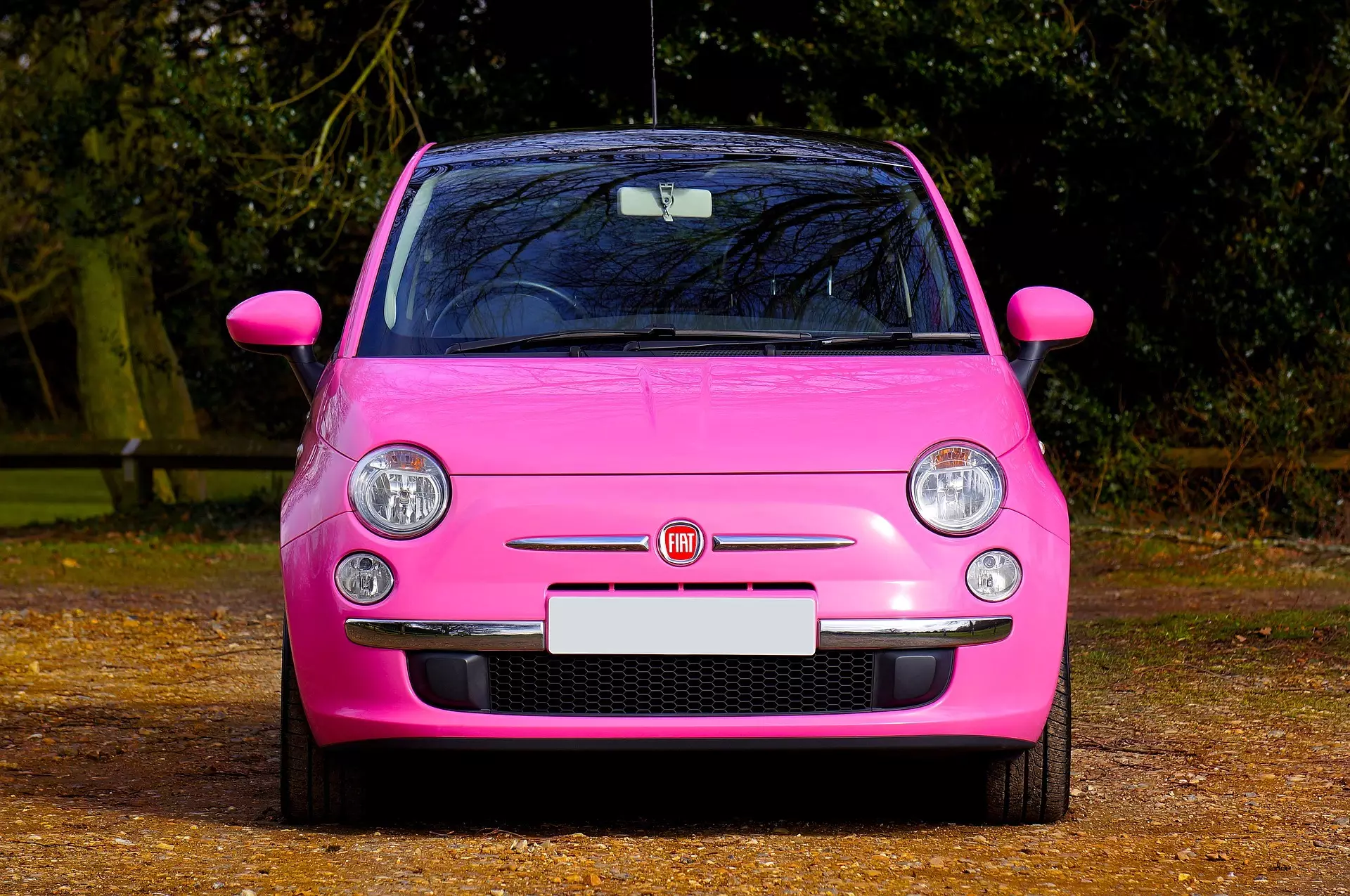 AUTOFFICINA GENIVOLTA  AUTO SALONE BONZIO