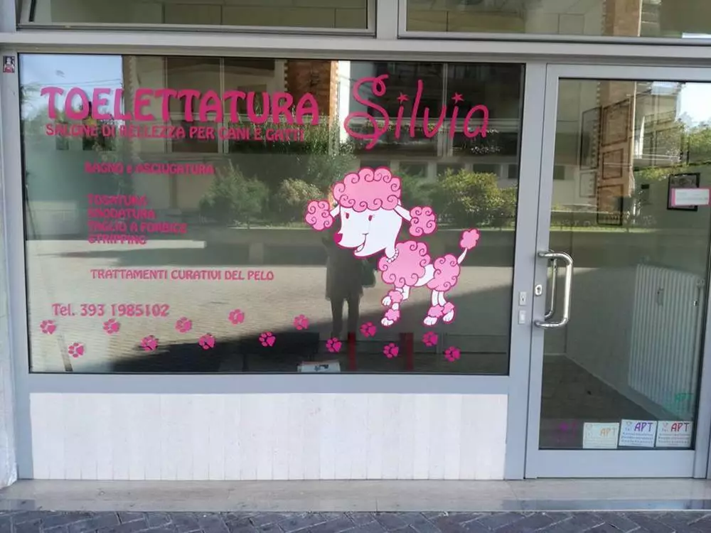TOELETTATURA SILVIA – TOELETTATURA PER ESPOSIZIONI CANINE E MOSTRE
