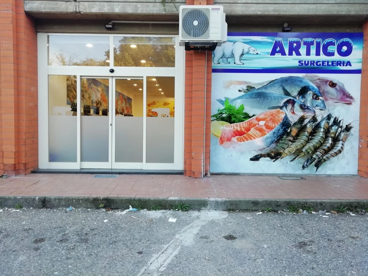 ARTICO SURGELERIE - VENDITA PRODOTTI ITTICI SURGELATI