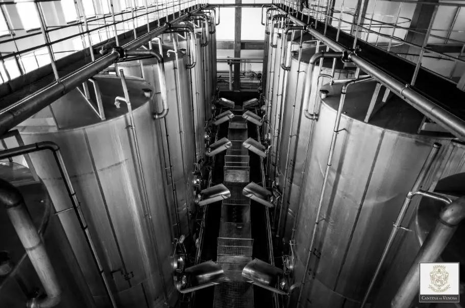 CANTINA DI VENOSA|PRODUZIONE E VENDITA VINI LUCANI|VENDITA VINO AGLIANICO E MALVASIA