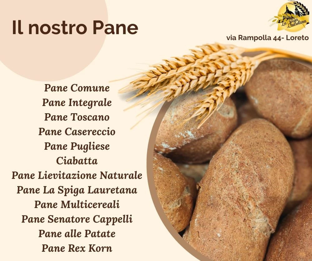 LA SPIGA LAURETANA - PANIFICIO ARTIGIANALE