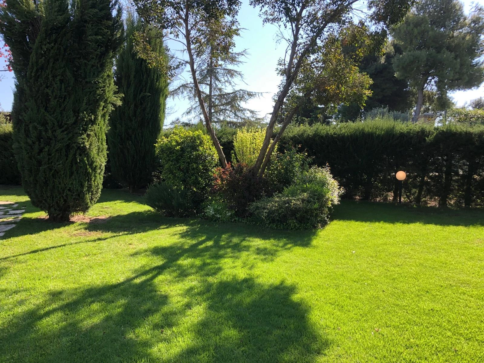 PROGETTAZIONE REALIZZAZIONE E MANUTENZIONE PRATI – GIARDINI SCANDURA