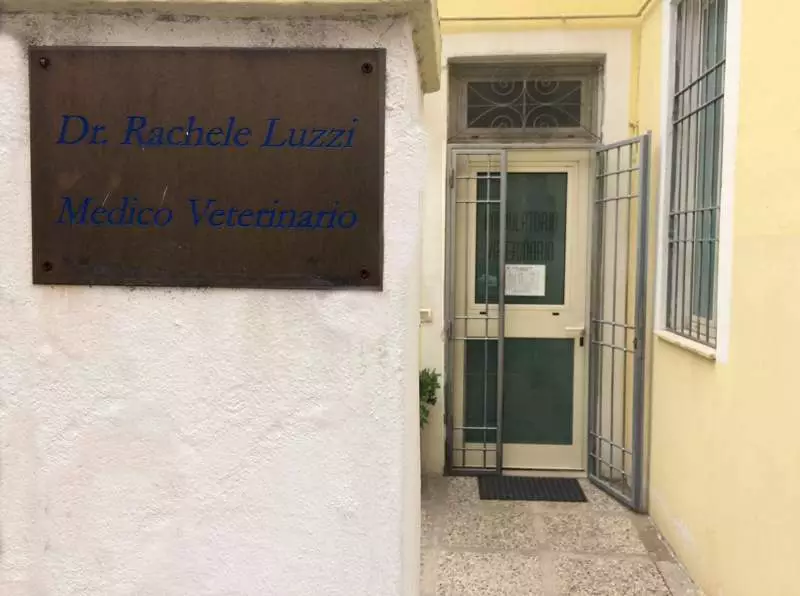 AMBULATORIO VETERINARIO DI RACHELE LUZZI