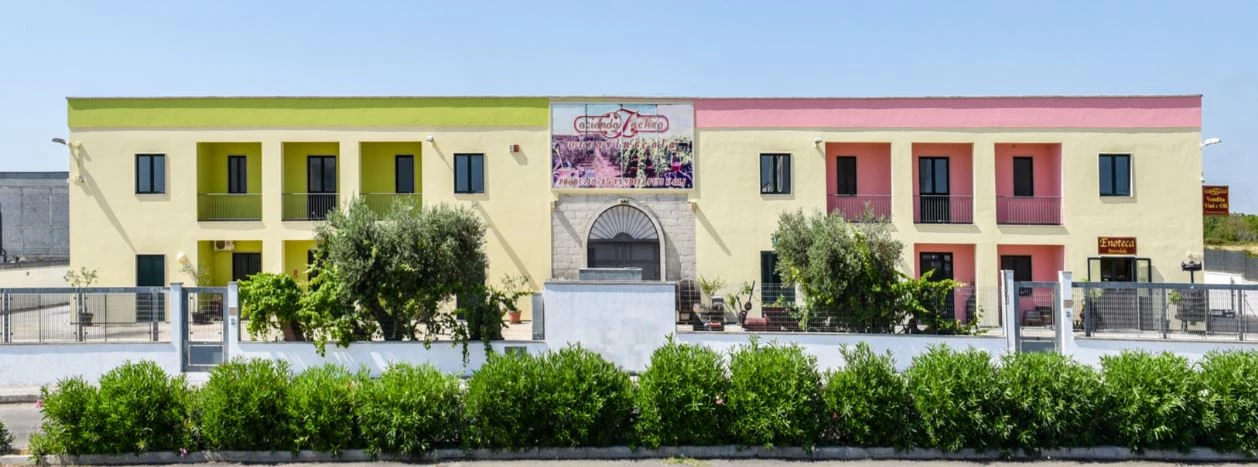 Azienda Zacheo Oleovinicola Giz Produzione E Vendita Olio Extravergine Di Oliva Salentino E Vini Pugliesi Del Salento