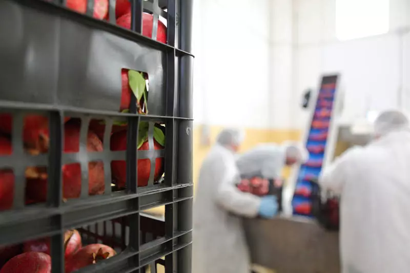 INTERNATIONAL JUICES - PRODUZIONE INGROSSO SUCCHI DI FRUTTA NATURALI CONCENTRATI PREPARATI SEMILAVORATI PER INDUSTRIA ALIMENTARE