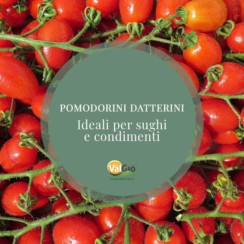 Sughi senza nichel - Confezione da 12 Passate di Pomodoro Cuore di Bue  Nichel Free da 550gr. : : Alimentari e cura della casa