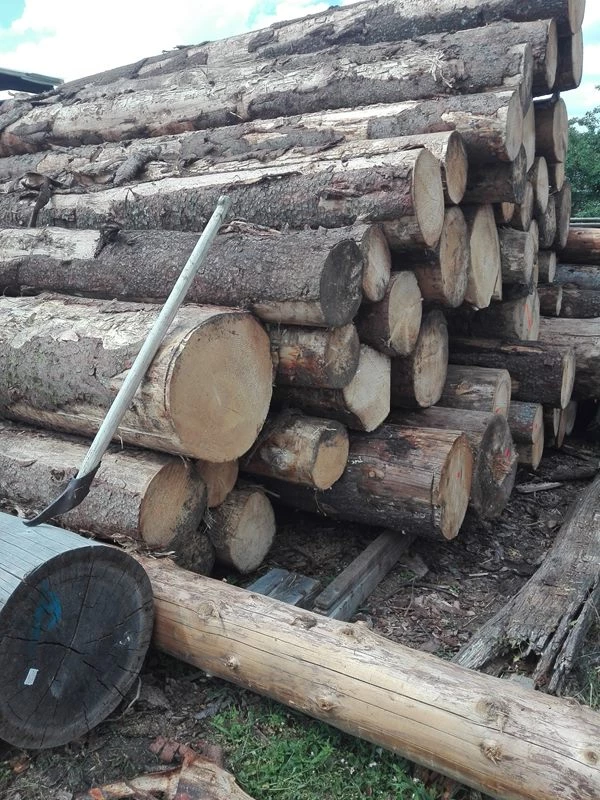 COSTRUZIONE E FORNITURA PEDANE E PALLET IN LEGNO PER IMBALLAGGI TORINO – SEGHERIA OPESSO