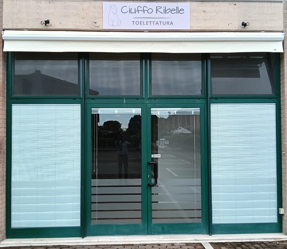 CIUFFO RIBELLE - TOELETTATURA CANI SELF SERVICE ASSISTITA