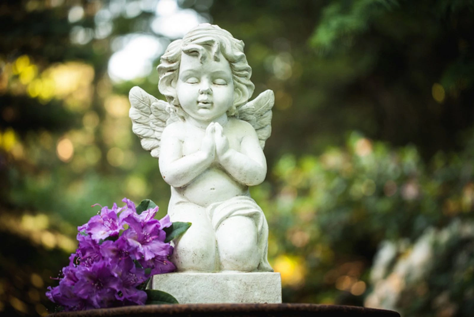 AGENZIA FUNEBRE LA ROSA BLU - ORGANIZZAZIONE COMPLETA CERIMONIA FUNEBRE