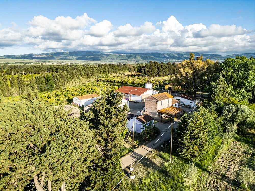 NEOCASTRUM - AZIENDA AGRICOLA BIOLOGICA E PRODOTTI ARTIGIANALI DELLA TRADIZIONE CALABRESE
