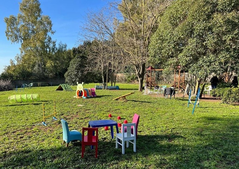 CICO & CO - ASILO PER CANI ZONA EUR LAURENTINA ARDEATINA TRIGORIA
