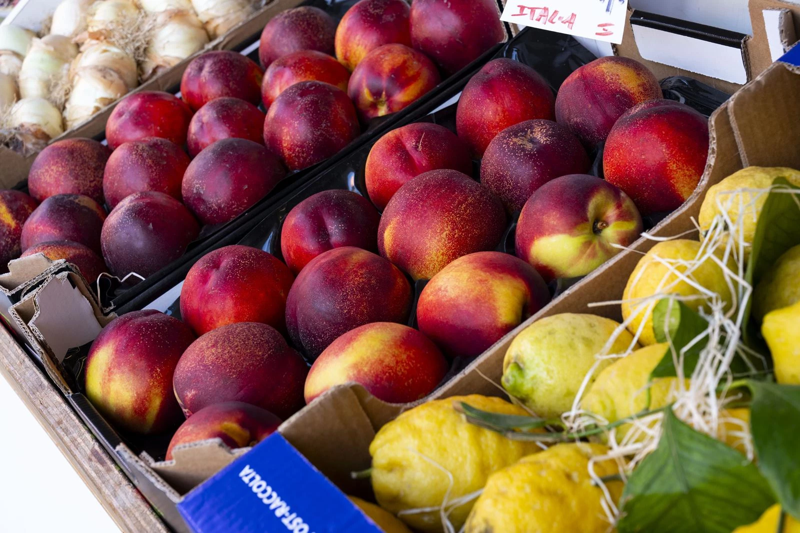 ORTOFRUTTICOLA  MARINO | VENDITA FRUTTA E VERDURA FRESCA CON GASTRONOMIA VEGETARIANA E CONSEGNA A DOMICILIO