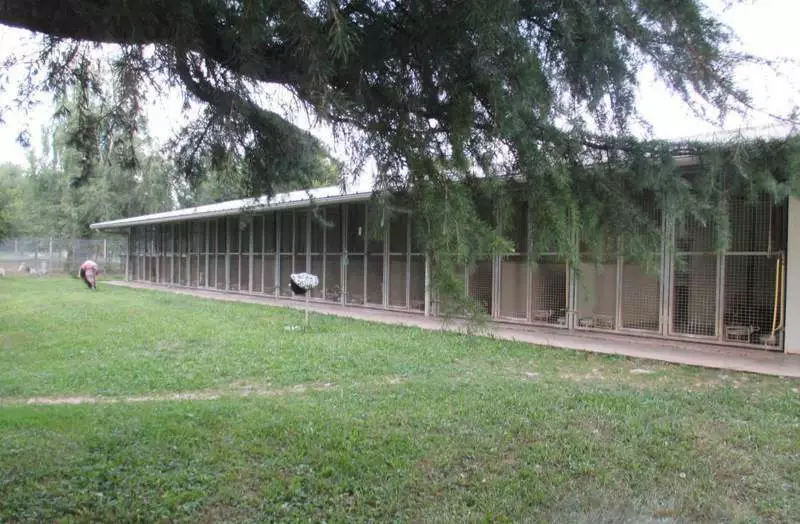 PENSIONE PER CANI SOCIETA' AGRICOLA L'OLIMPO