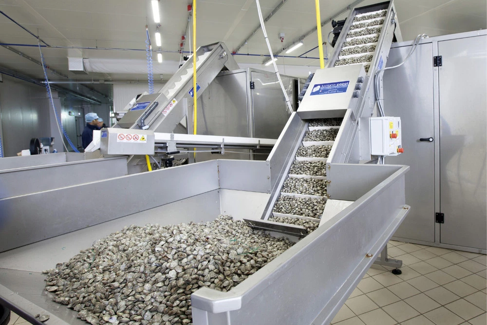 CO.PE.MO - COMMERCIO E VENDITA AL DETTAGLIO PRODOTTI ITTICI