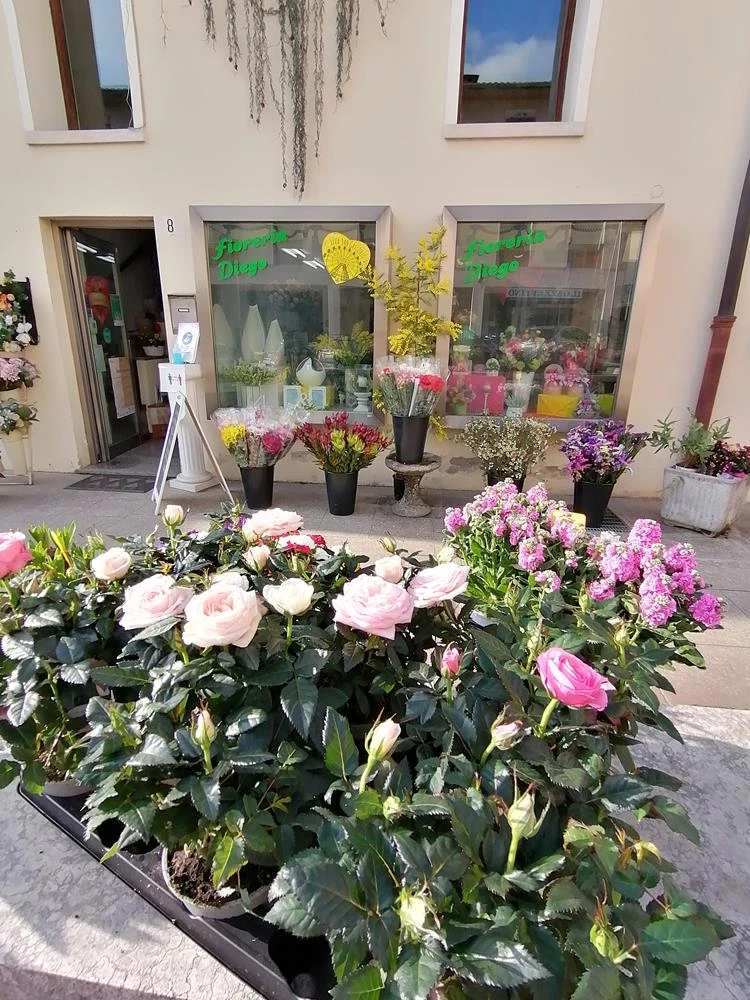 FIORERIA DIEGO - REALIZZAZIONE ADDOBBI FLOREALI E VENDITA FIORI FRESCHI E PIANTE DA INTERNO ED ESTERNO