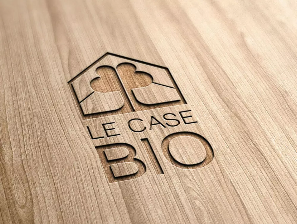 LE CASE BIO  PROGETTAZIONE REALIZZAZIONE E COSTRUZIONE CASE BIO IN LEGNO