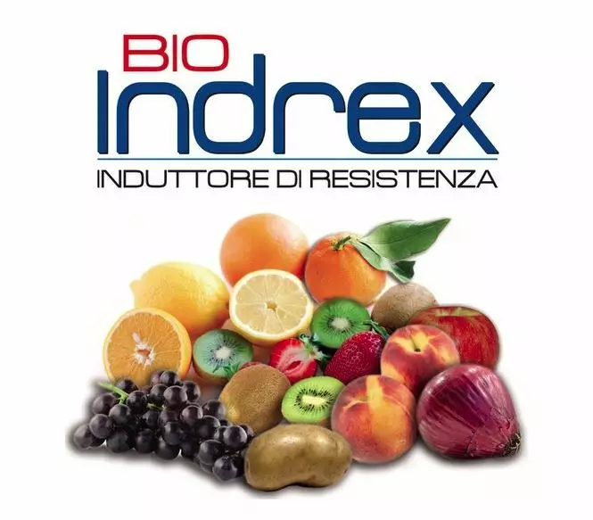 Lentini Commercio E Vendita Fertilizzanti Distribuzione Prodotti Fitosanitari