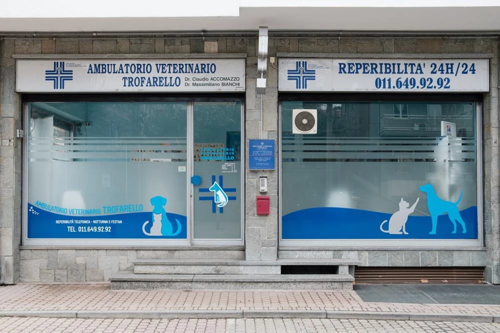 Ambulatorio Veterinario ORSAMAGGIORE [ Album dei pazienti ]