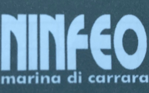 NINFEO - FIORISTA VENDITA DI FIORI E PIANTE DA INTERNI - 1