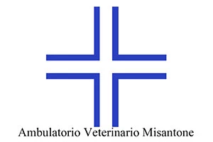 AMBULATORIO VETERINARIO MISANTONE - CLINICA VETERINARIA - 1