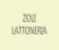 ZOLI LATTONERIA - LAVORAZIONI E COPERTURE METALLICHE - 1