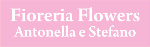 FIORI E PIANTE ANTONELLA - FIORERIA - 1