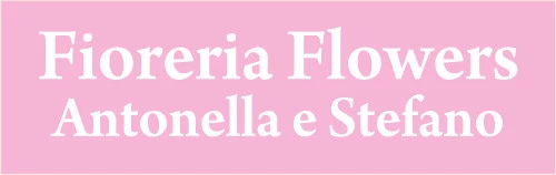 FIORI E PIANTE ANTONELLA - FIORERIA - 1