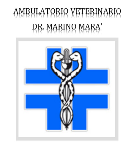 AMBULATORIO VETERINARIO DR MARINO MARA -  VISITE VETERINARIE SPECIALISTICHE E INTERVENTI DI CHIRURGIA VETERINARIA DI BASE - 1