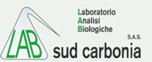 L.A.B. SUD CARBONIA - LABORATORIO ANALISI - 1