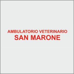 AMBULATORIO VETERINARIO SAN MARONE - CLINICA VETERINARIA - 1