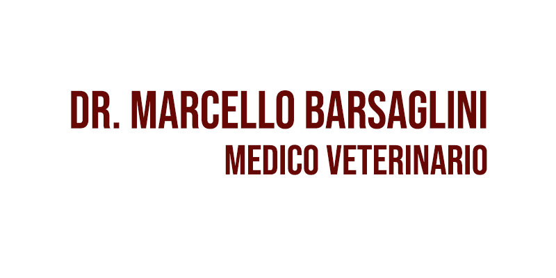 DR. MARCELLO BARSAGLINI - AMBULATORIO VETERINARIO RADIOLOGIA ECOGRAFIA CHIRURGIA GENERALE VETERINARIA - 1