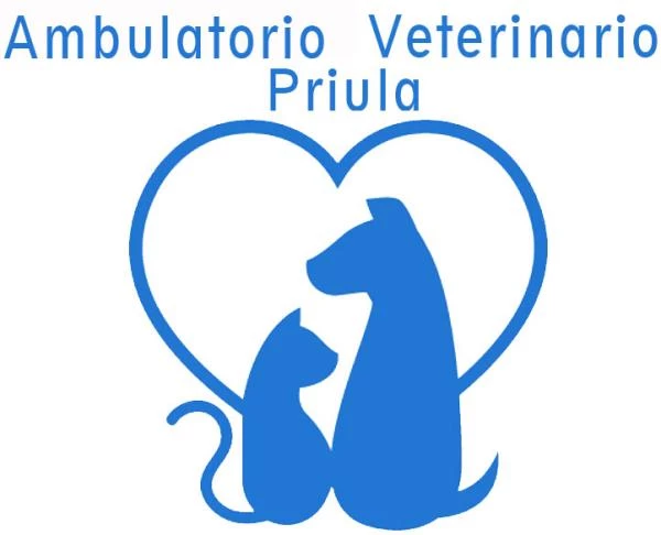 AMBULATORIO VETERINARIO PRIULA - INTERVENTI CHIRURGICI E ANALISI DI LABORATORIO PER ANIMALI - 1