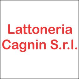 LATTONERIA CAGNIN - SERVIZI DI LATTONERIA CIVILI E INDUSTRIALI - 1