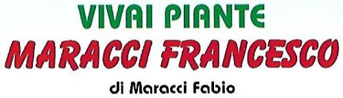VIVAI PIANTE MARACCI FRANCESCO  GIARDINAGGIO PROGETTAZIONE AREE VERDI PRIVATE E PUBBLICHE - 1