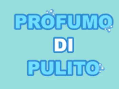 LAVANDERIA PERUGIA - PROFUMO DI PULITO - 1