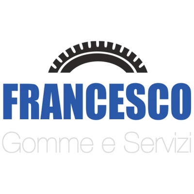FRANCESCO GOMME E SERVIZI SRL UNIPERSONALE - 1