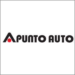 PUNTO AUTO -  SERVIZIO DI AUTONOLEGGIO - 1