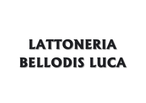 LATTONERIA BELLODIS LUCA - REALIZZAZIONE GRONDAIE E COPERTURE TETTI - 1