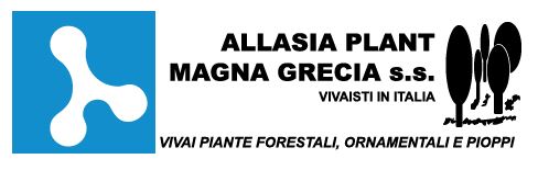 Allasia Plant Azienda Vivaistica E Vivaio Produzione Piante Forestali E Ornamentali Pioppi Per Imboschimenti - 1