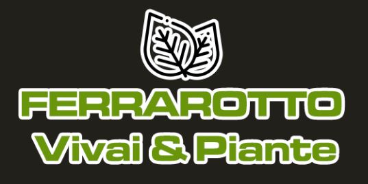 FERRAROTTO VIVAI E PIANTE ^ PRODUZIONE E VENDITA PIANTE PIANTINE DI ULIVO DA TALEA^INVASATE^CULTIVAR CAROLEA^LECCINO^FRANTOIO - 1