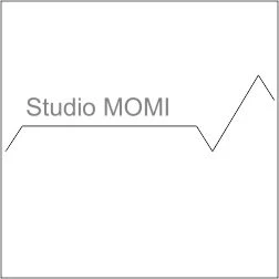 STUDIO TECNICO GEOM. LEO MOMI - ASSISTENZA TECNICA URBANISTICA E RESIDENZIALE - 1