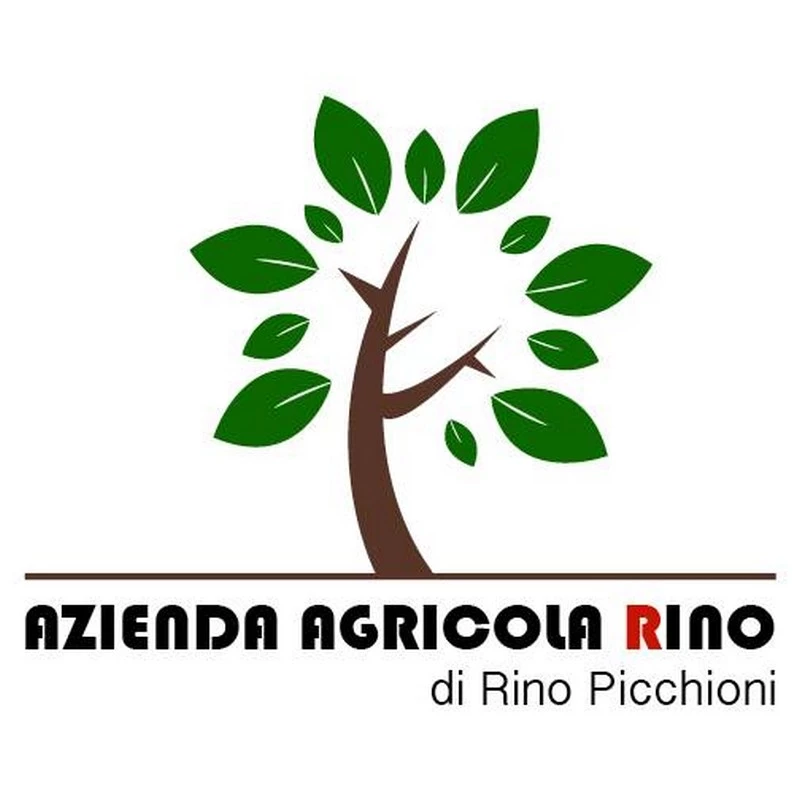 AZIENDA AGRICOLA RINO PICCHIONI - 1