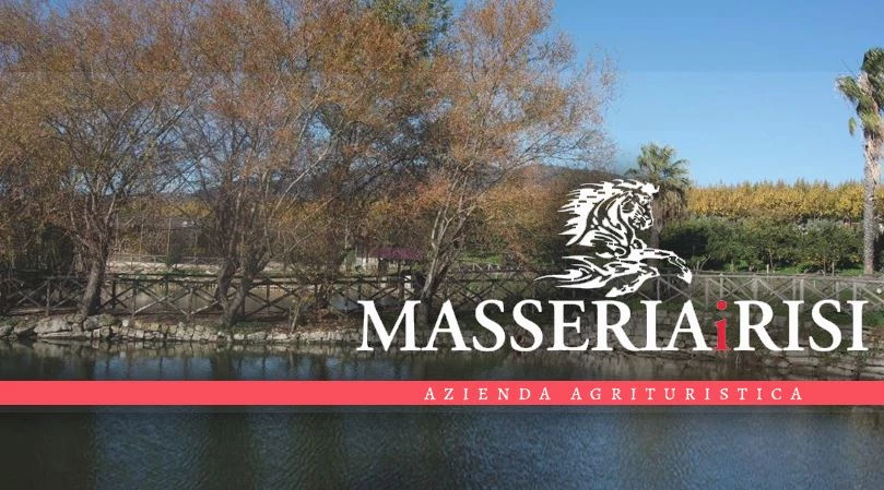Agriturismo Masseria I Risi Masseria Con Piscina Per Ricevimenti Azienda Agricola E Agrituristica - 1