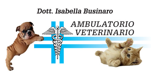 AMBULATORIO VETERINARIO TORINO - DOTT. ISABELLA BUSINARO - 1