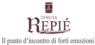 TENUTA REPIE' - SALA RICEVIMENTI LOCATION CON PISCINA - 1