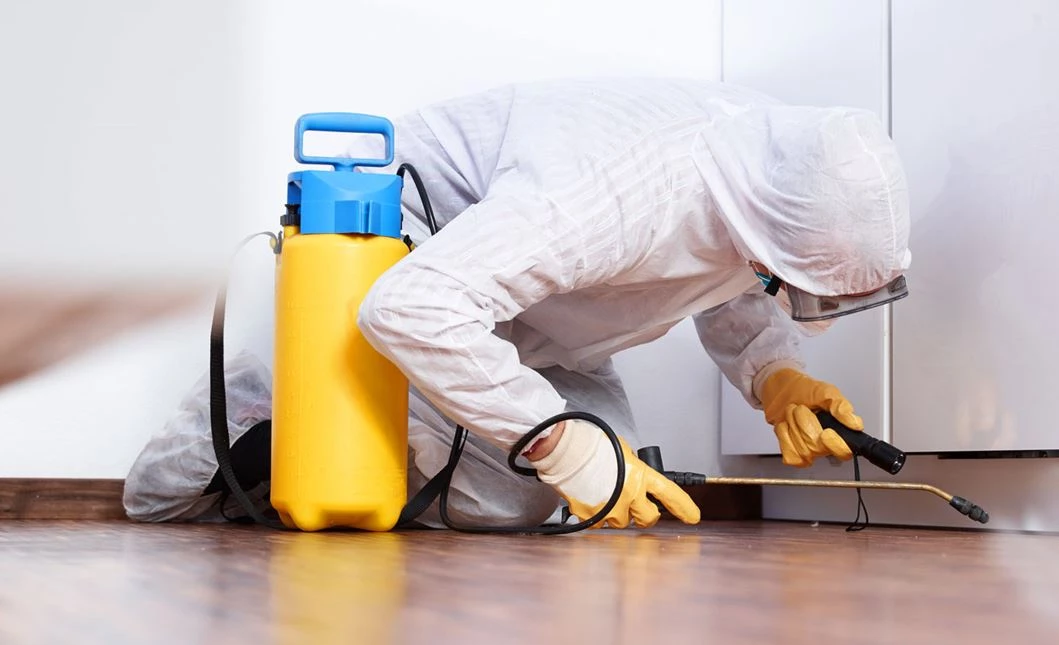 Nalba Clean&Service Disinfezione Professionale Sanificazione Per Ambienti - 1