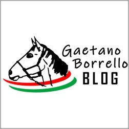 GAETANO BORRELLO ISTRUTTORE FEDERALE DI TURISMO EQUESTRE - TURISMO LENTO A CAVALLO IN PIEMONTE - 1