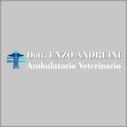 AMBULATORIO VETERINARIO DOTT. ENZO ANDREINI - VISITE VETERINARIE ANCHE A DOMICILIO - 1